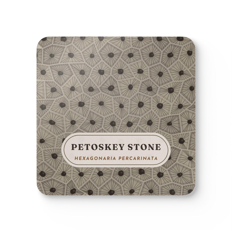 Petoskey Stone Coaster Set of 4, Four Identical Fossil Coral Pattern Coasters, Michigan State Stone Gift, High-Gloss MDF Top with Cork Back image 1