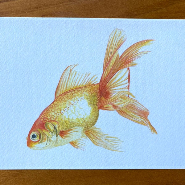 Watercolor Goldfish