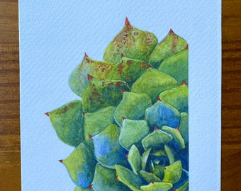 Op de afbeelding: Waterverf schilderij van een groene succulent met rode punten op een lichtblauwe achtergrond. De plant heeft de vorm van een rozet en heeft een gedetailleerde textuur. De handtekening van de kunstenaar staat in de rechter benedenhoek.