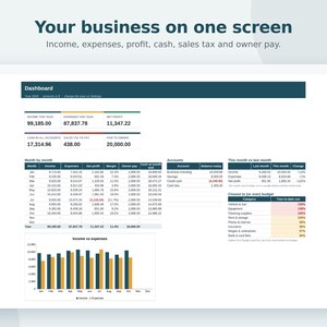 Small Business Bookkeeping Spreadsheet, Profit and Loss, Budget, Income Expense Tracker, Cash Flow, Google Sheets & Excel Template image 2