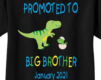 May include: Black t-shirt with a green dinosaur and a smaller blue dinosaur in an egg. The text "Promoted to Big Brother January 2021" is printed on the shirt.