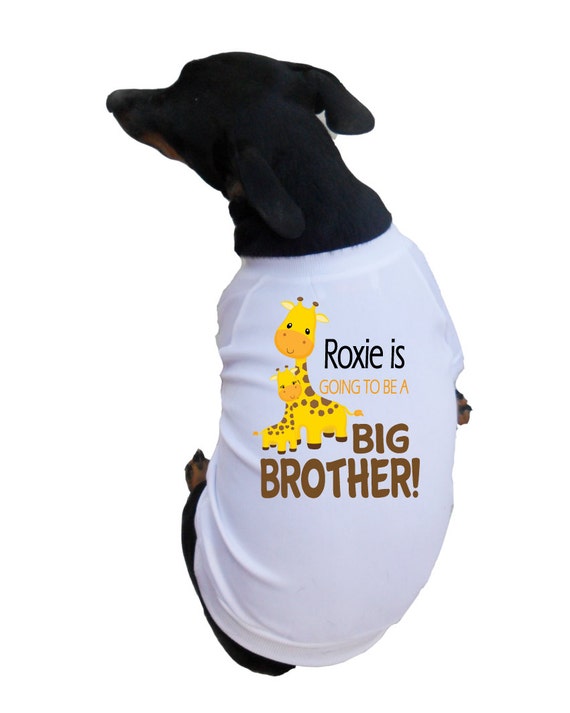 im a big brother dog shirt