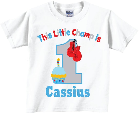 four two Birthday boy outfit T-shirt with shorts and hat age 1 three