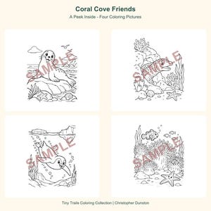 K&ouml;nnte beinhalten: Vier schwarz-wei&szlig;e Ausmalbilder mit dem Titel Coral Cove Friends: A Peek Inside - Four Coloring Pictures. Die Illustrationen zeigen eine Robbe auf einem Felsen, einen Aal im Riff, eine schwimmende Robbe und Clownfische in Anemonen.