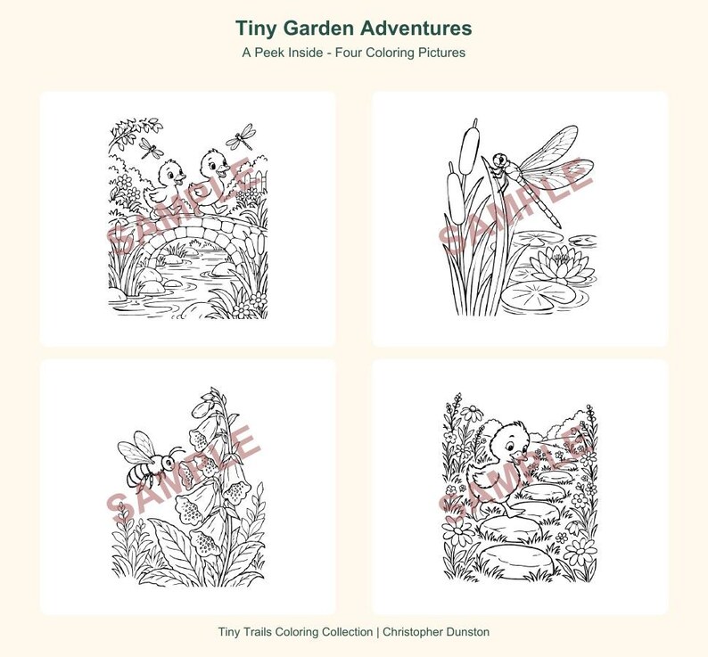 K&ouml;nnte beinhalten: Vier schwarz-wei&szlig;e Ausmalbilder mit dem Titel Tiny Garden Adventures. Die Illustrationen zeigen zwei Entenk&uuml;ken auf einer Steinbr&uuml;cke, eine Libelle an Schilfkolben, eine Biene an Fingerhutblumen und ein Entenk&uuml;ken auf Trittsteinen.