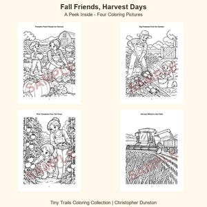 May include: Four black and white coloring pages titled Fall Friends, Harvest Days. Scenes include a pumpkin patch, digging potatoes, picking tomatoes, and harvesting wheat with a combine harvester. The collection is by Christopher Dunston.