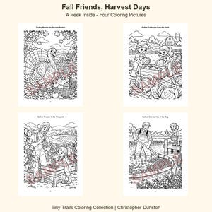 May include: A coloring book page titled Fall Friends, Harvest Days featuring four black and white illustrations: a turkey by a harvest basket, children gathering cabbages, people picking grapes in a vineyard, and harvesting cranberries at a bog.