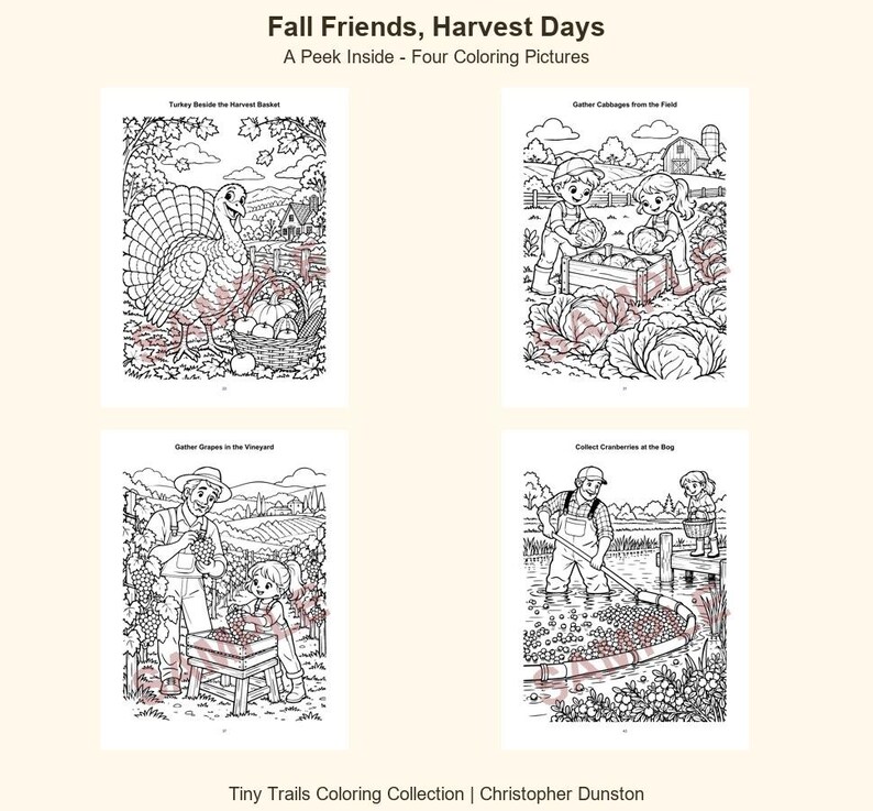 May include: A coloring book page titled Fall Friends, Harvest Days featuring four black and white illustrations: a turkey by a harvest basket, children gathering cabbages, people picking grapes in a vineyard, and harvesting cranberries at a bog.