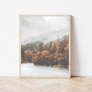 Puede incluir: Una fotografía enmarcada de una escena de bosque brumoso con un río serpenteando a través de los árboles. Los árboles son una mezcla de verde y naranja, con las hojas naranjas que indican el otoño. El cielo es gris claro y la niebla agrega un toque de misterio a la escena.