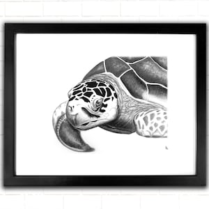 ★Original ART ‘Turtle’ Black Pond Turtle - Signed Fine Art Print - inkart