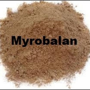 Myrobalan, Tannin for Natural Dyeing, Plant Dye, Terminalia chebula