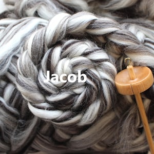 Jacob Wool Combed Top Undyed Bare Top Roving Wool for Spinning Dyeing Handspinning Fiber Humbug Black White