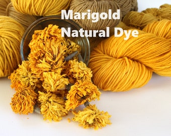 African Marigold Flowers Dried Whole Natural Plant Dye for Yarn Protein Dyes Earth Friendly Fiber Wool Silk Mordant Dyeing