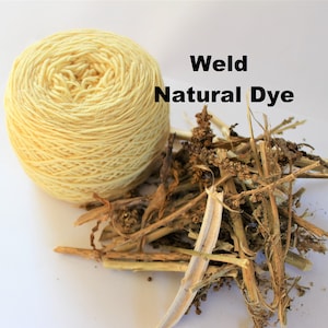 Weld Dried Whole Natural Plant Dye - Reseda Luteola - for Yarn Protein Dyes Fiber Wool Silk Mordant Dyeing
