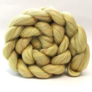 Sparkly Merino Blend 'Glitzy Catkin' Wool Combed Top Rainbow Nylon Roving Dyed Wool Spinning Fiber