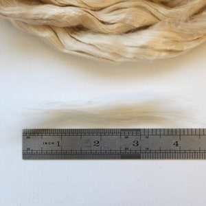 Mint Infused Cellulose Fiber Combed Top for Spinning Felting or Doll Hair Fiber Fibers Undyed Plant Vegan Seaweed image 2