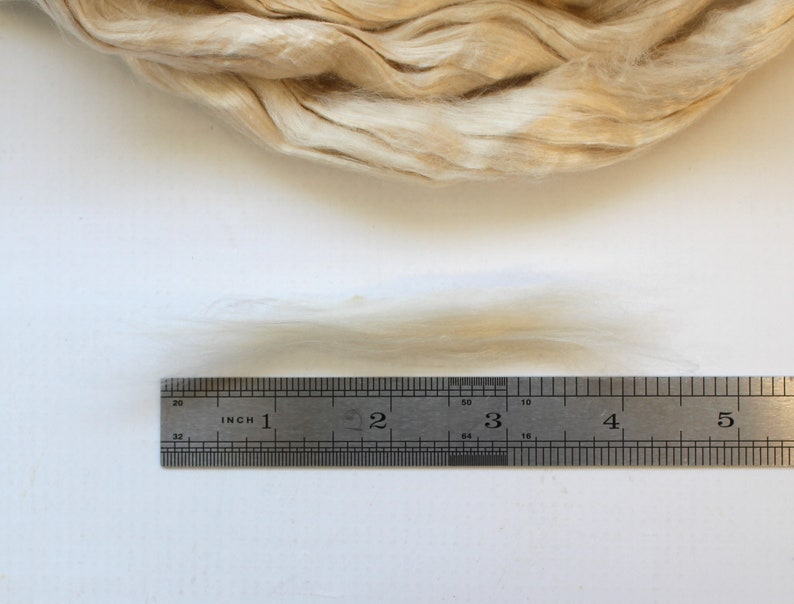 Mint Infused Cellulose Fiber Combed Top for Spinning Felting or Doll Hair Fiber Fibers Undyed Plant Vegan Seaweed image 2