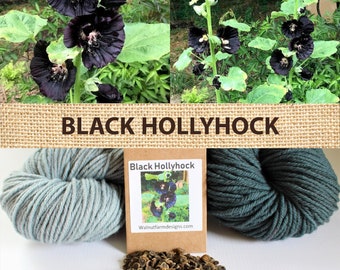 Black Hollyhock Seed seeds natural dye plant