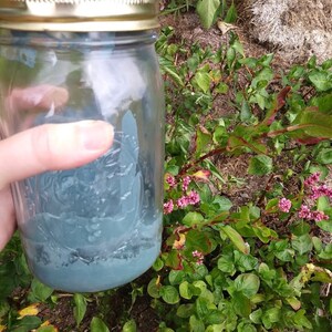 May include: A glass jar filled with a blue powder. The jar has a gold lid and is sitting in front of a green plant with pink flowers.
