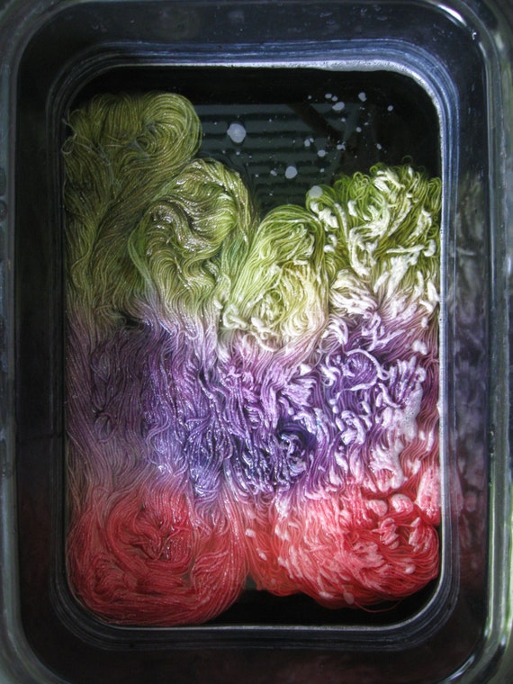 Worsted Weight Yarn Painting Kits - PRO Chemical & Dye