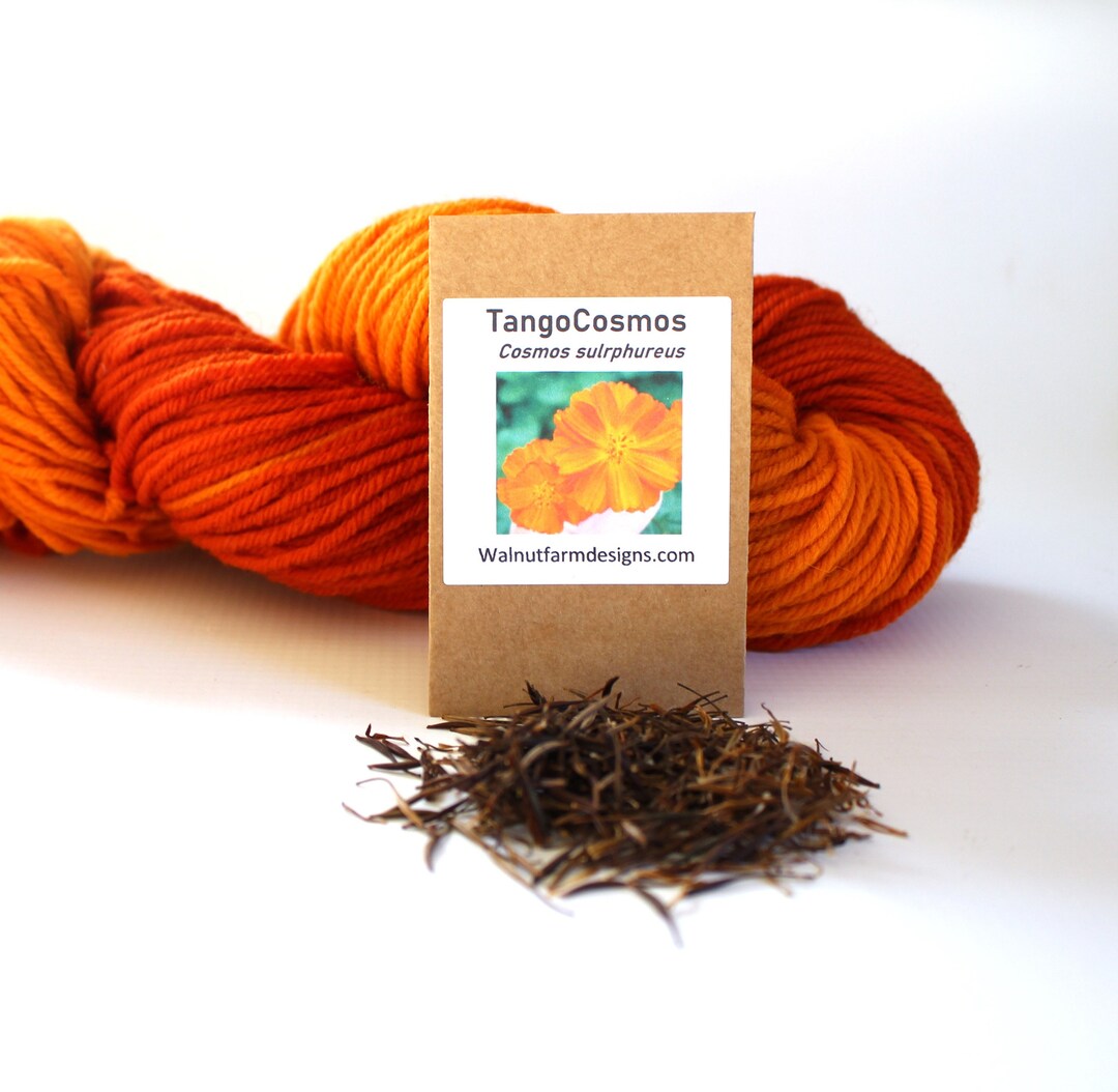 Tango Cosmos Tall ‘cosmos Sulphureus’ Sulphur Natural - Etsy