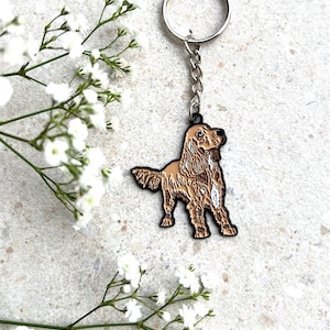 Llavero Springer Spaniel