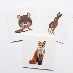 Juego de tarjetas de felicitación de animales, zorro, ratón y liebres