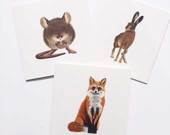 May include: Three square art prints featuring detailed illustrations of woodland animals. The prints showcase a brown mouse, a running hare, and a seated fox, all set against a white background. The artwork has a realistic style.