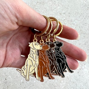 Puede incluir: Cuatro llaveros con forma de perro en crema, marr&oacute;n, marr&oacute;n oscuro y negro. Cada llavero presenta un dise&ntilde;o de perro sentado con anillos de metal dorados. Los llaveros est&aacute;n unidos por un anillo de metal dorado.