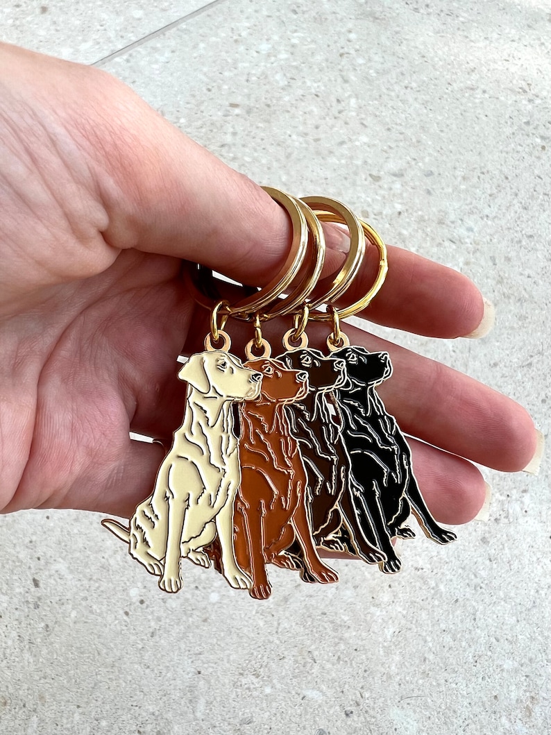 Puede incluir: Cuatro llaveros con forma de perro en crema, marr&oacute;n, marr&oacute;n oscuro y negro. Cada llavero presenta un dise&ntilde;o de perro sentado con anillos de metal dorados. Los llaveros est&aacute;n unidos por un anillo de metal dorado.