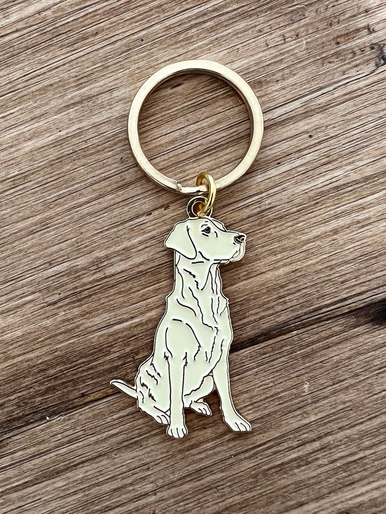 Puede incluir: Un llavero de metal dorado con un colgante en forma de perro. El colgante es de color verde claro con detalles de contorno negro. El perro est&aacute; sentado erguido. El anillo del llavero es grande y redondo.