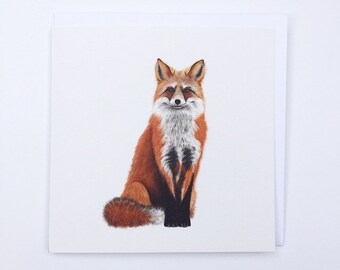 May include: A square greeting card featuring a detailed illustration of a fox. The fox is depicted in a seated position with reddish-orange fur, a white chest, and a bushy tail. The background is plain white.