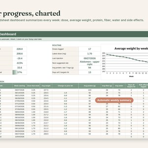 GLP-1 Tracker Bundle, Google Sheets & Excel Spreadsheet, Printable Planner, Hyperlinked Digital Planner, Injection and Symptom Log image 4