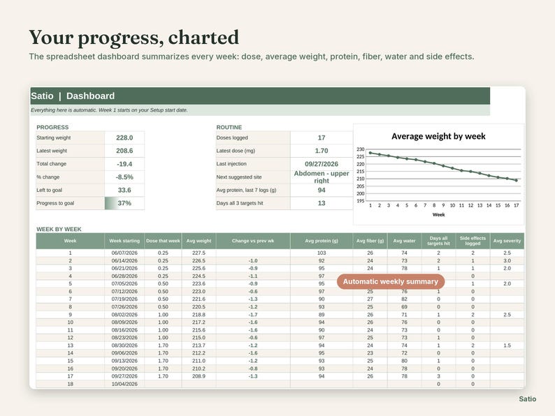 GLP-1 Tracker Bundle, Google Sheets & Excel Spreadsheet, Printable Planner, Hyperlinked Digital Planner, Injection and Symptom Log image 4