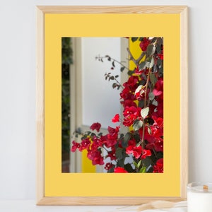 Instant Download Flower Photo Botanical Photograph Fine Art Flower Image Digital Download Photo Art Wall Decor Gift Red and Yellow Decor