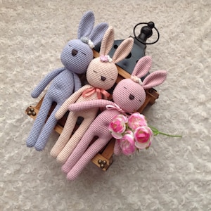 Amigurumi Bunny Doll, New Mom Gift Box,Personalized Doll,Crochet Animals,Amigurumi Doll for sale,Baby Shower Gift Box,