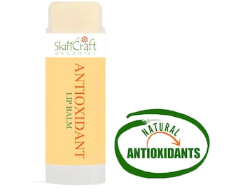 Organic Antioxidant Argan Oil Lip Balm - Natural Skin Care Treatment for Dry, Cracked, Chapped, Aging Lips - Rosehip, Sea Buckthorn, Carrot