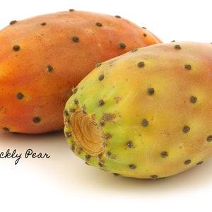 Bumpy Pear Organic Prickly Pear Seed Face Oil - Natural Cactus Facial Care Serum ...