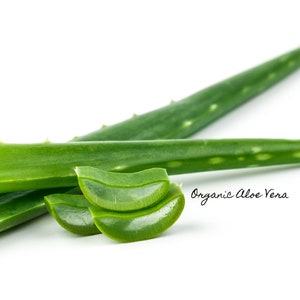 May include: Close-up of fresh green aloe vera leaves, some sliced open, with the text "Organic Aloe Vera" visible.