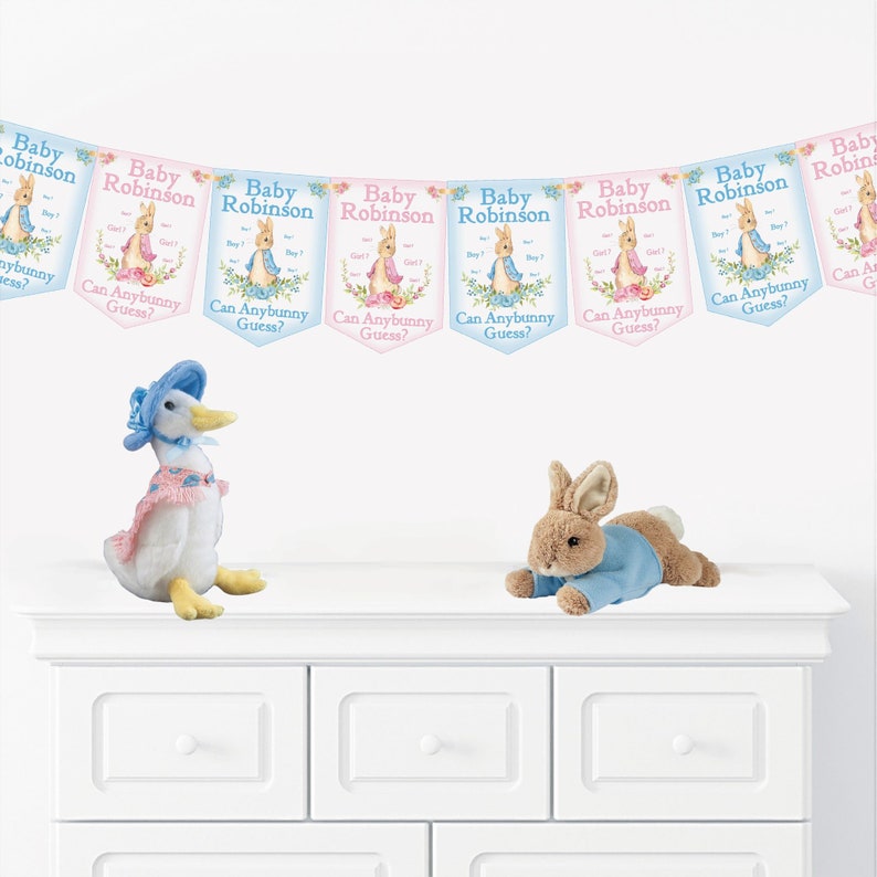 May include: A baby shower banner with pink and blue flags that say "Baby Robinson Can Anybunny Guess?" with a Peter Rabbit and a Jemima Puddle-Duck plush toy on a white dresser.