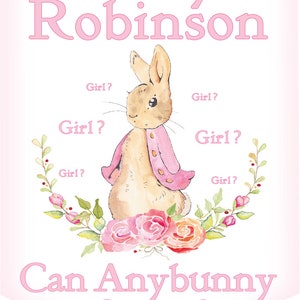 May include: A pink and white baby shower banner with a cartoon bunny rabbit and the text "Baby Robinson Can Anybunny Guess?"