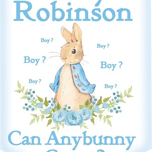 May include: A blue and white gender reveal banner with a cartoon bunny rabbit and the text "Baby Robinson Can Anybunny Guess?"