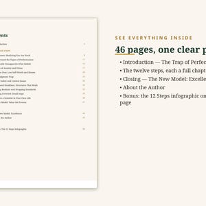 Puede incluir: Una p&aacute;gina de documento que muestra una tabla de contenido titulada Contents con doce pasos listados, y un bloque de texto resumen titulado SEE EVERYTHING INSIDE 46 pages, one clear path, listando cap&iacute;tulos como The Trap of Perfectionism.