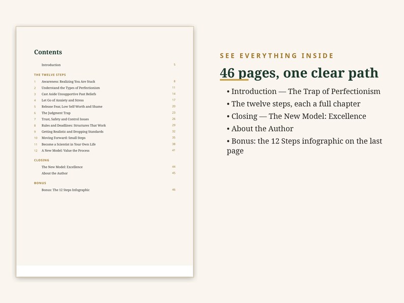 Puede incluir: Una p&aacute;gina de documento que muestra una tabla de contenido titulada Contents con doce pasos listados, y un bloque de texto resumen titulado SEE EVERYTHING INSIDE 46 pages, one clear path, listando cap&iacute;tulos como The Trap of Perfectionism.