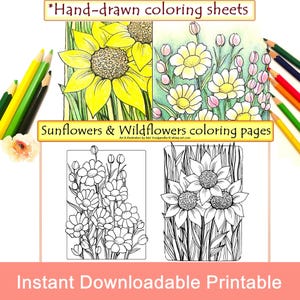 Acogedoras páginas para colorear de flores silvestres y girasoles de primavera y verano para divertirse, relajarse y concentrarse. Imprima en tamaño carta, 8x10 y A4.