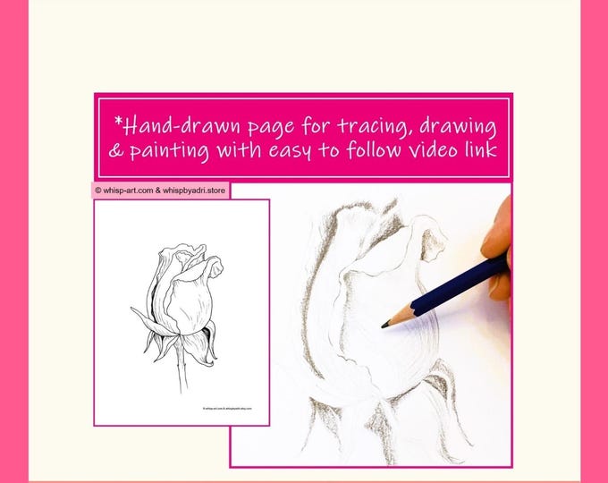 Printable Rosebud Outline Drawing to trace: Sketch and Paint Art Tutorial video link included (PDF)