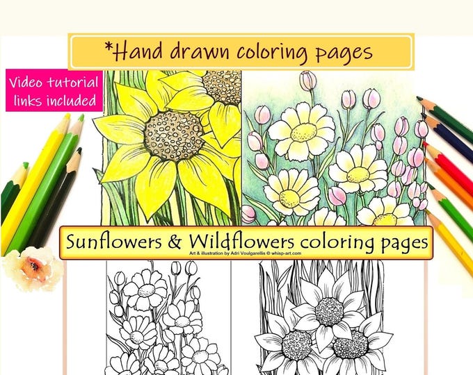 Wildflower, Sunflower Coloring Pages, Printable Nature Art Craft Activity & Tutorial (PDF)
