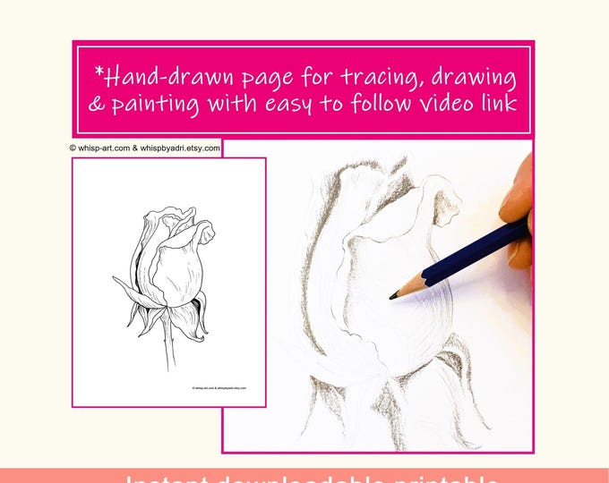 Rosebud Outline Drawing, Sketch and Paint Art Tutorial (PDF)