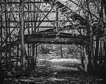 Path Through Abandoned Roller Coaster In The Woods Photography Print, Black and White, Urbex