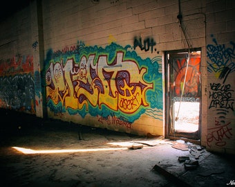 Light Coming Through Broken Door of Abandoned Building Photography Print, Urban Exploration, Urbex, Wall Art